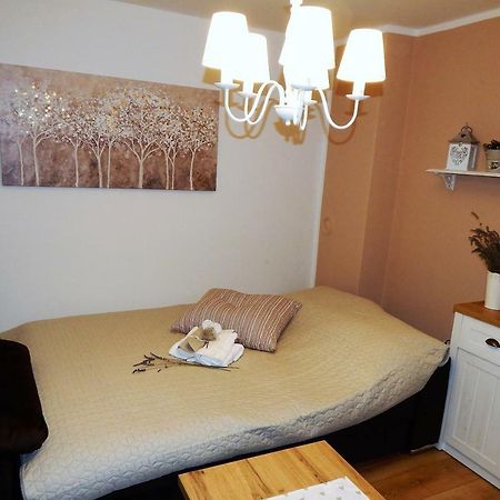 Studio Apartman Tvrtko Varazdin Bagian luar foto