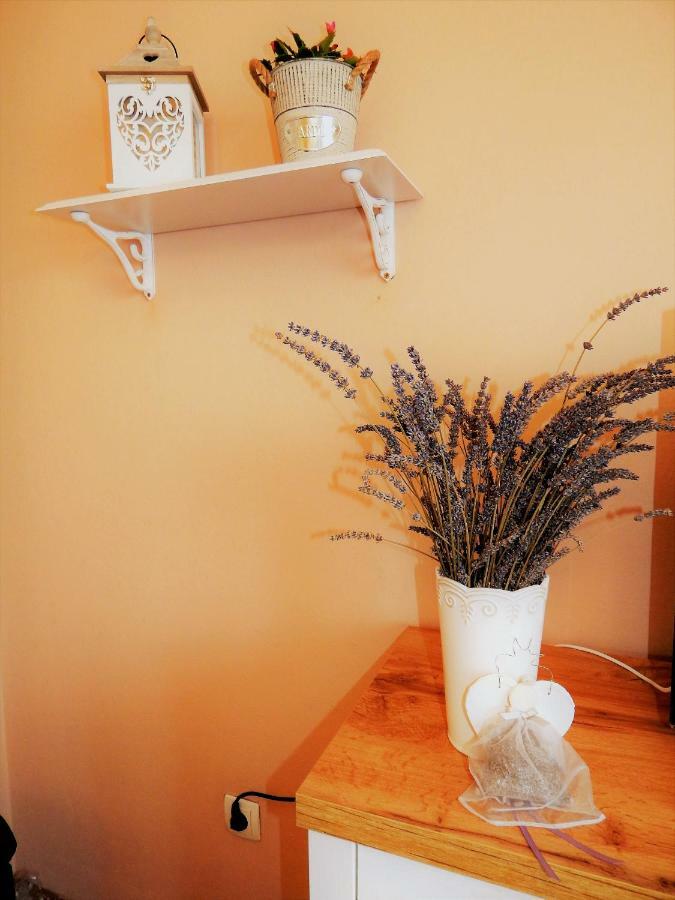Studio Apartman Tvrtko Varazdin Bagian luar foto
