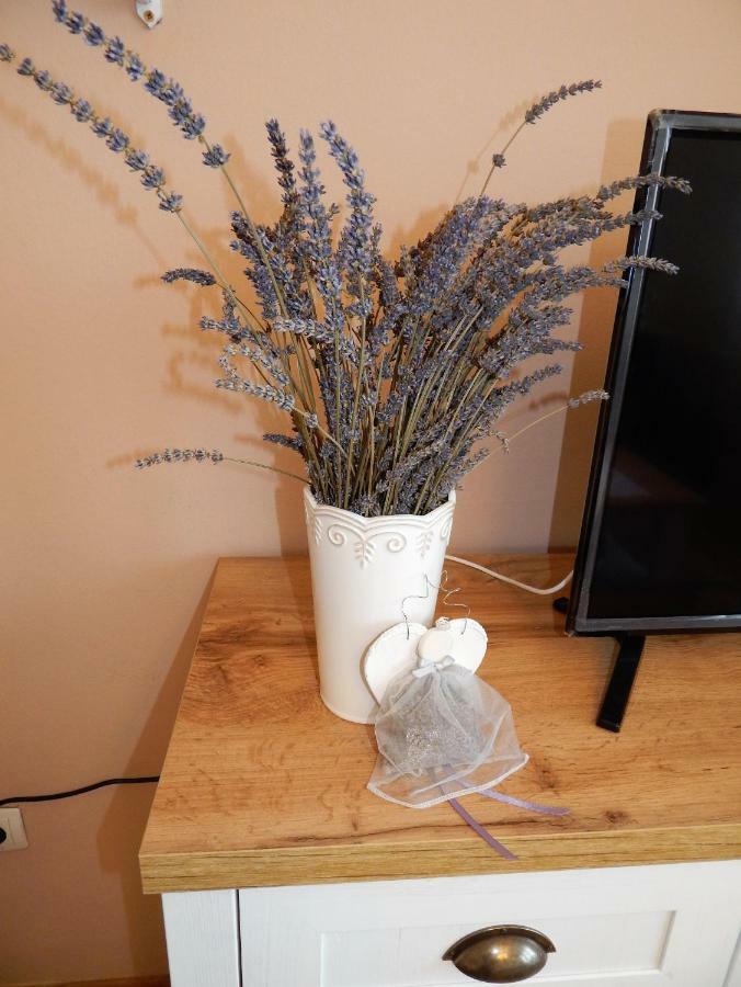 Studio Apartman Tvrtko Varazdin Bagian luar foto